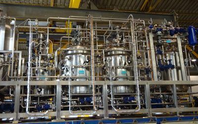 Proceso de fabricación de una planta de proceso alimentario